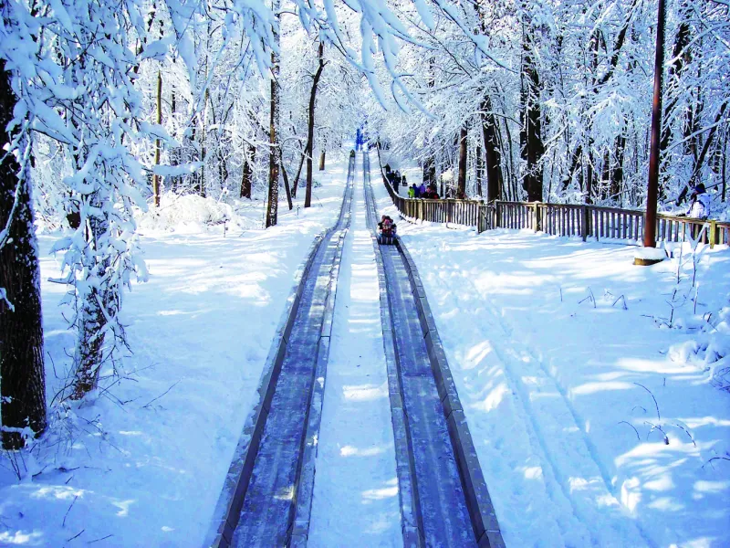 Worth-the-Drive: Pokagon State Park's Toboggan Run