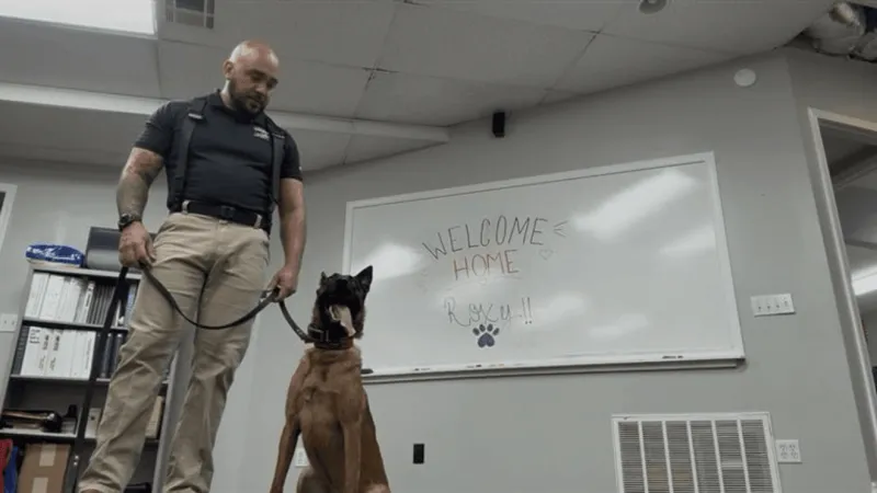 Mold-detecting dog helping Bartlesville homeowners find hidden problems