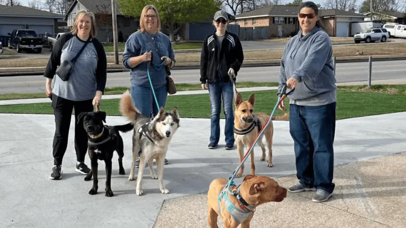 Oklahoma Alliance for Animals searching for Dog Walkers Club volunteers