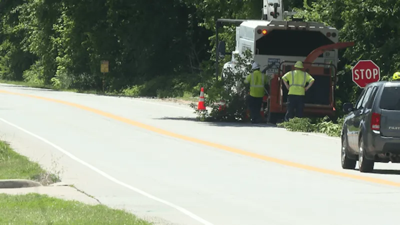South Mingo Lighting Project Underway, Aiming to Improve Safety and Visibility