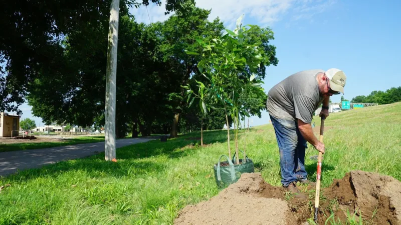 240 trees to be planted along Katy Trail