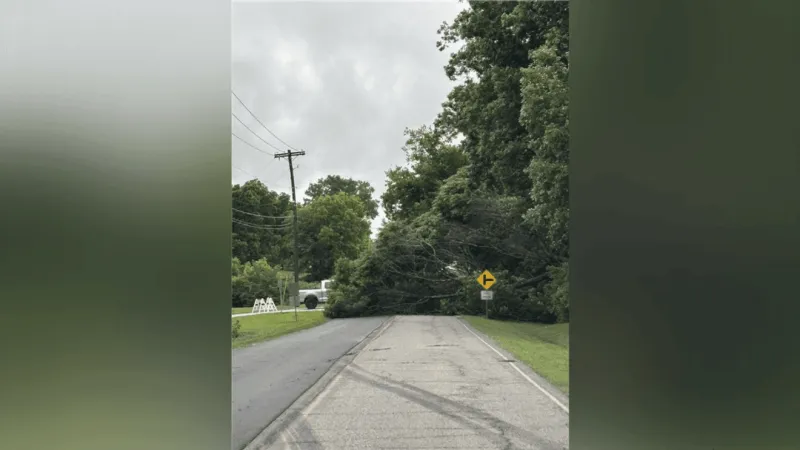 Downed tree closes portion of 121st Street in Jenks