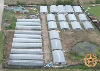 OBN Completes Large Marijuana Enforcement Operation in Nowata County