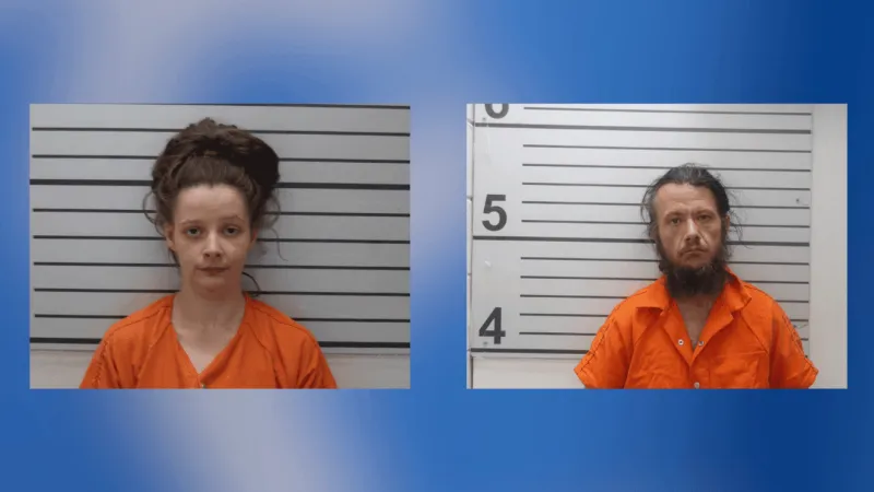 MCSO investigating accusations couple gave infant to landlord for reduced rent