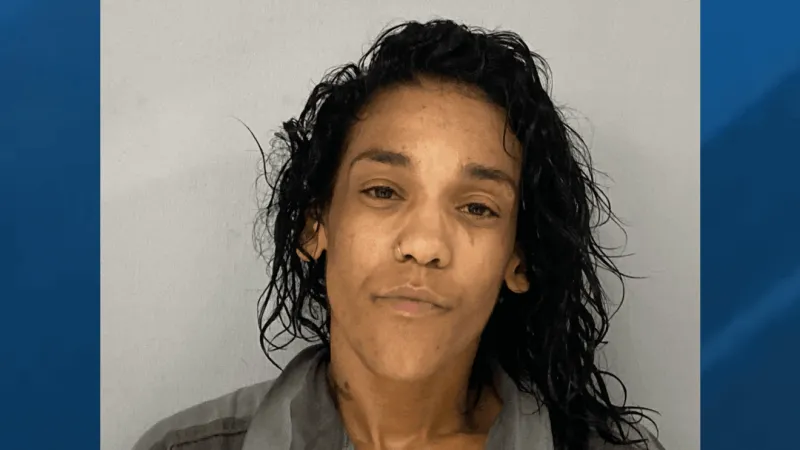 Woman arrested after 2 dogs found dead inside Oklahoma motel room