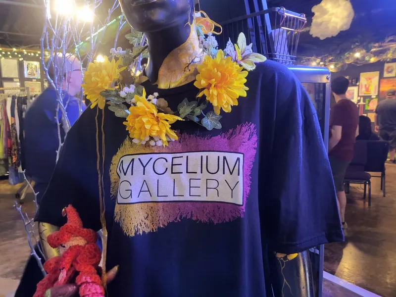 Artful Subversion: The All Trans Art Show at Mycelium Gallery