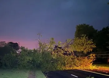 Storm Cleanup Underway Across Washington County After Severe Storms