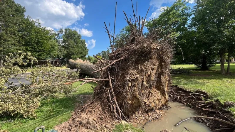 Cleanup continues in Bartlesville after storms leave thousands without power