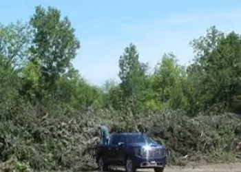 ?Free Disposal Site Open and Dates Extended for Trees, Vegetative Debris