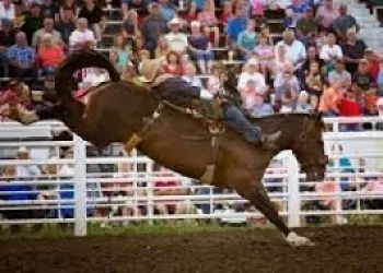 Cavalcade's 80th Year Going to be Special