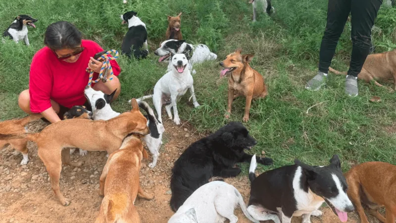 Oklahoma Alliance for Animals assisting with care of dogs on Creek County property
