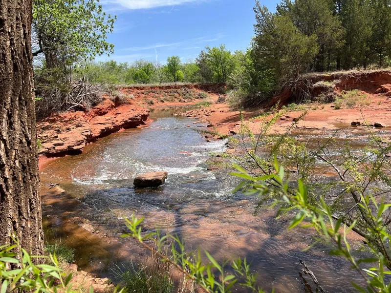 The Best OKC Walking Trails for Coffee, Toddlers and Avoiding Nature