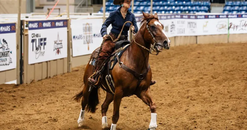 Photos: Expo Square horse show