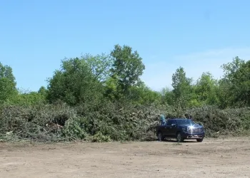 Bartlesville Tree Disposal Site to Remain Open Until July 23