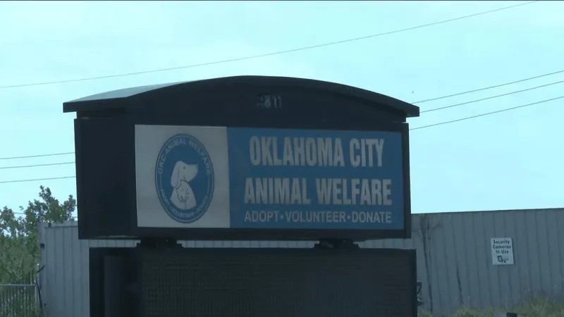 Animal welfare: 250 birds euthanized after seizure during drug investigation