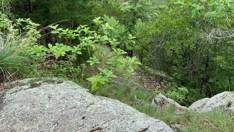 Oklahoma health officials share summer trail safety tips: sunscreen, hydration, tick check