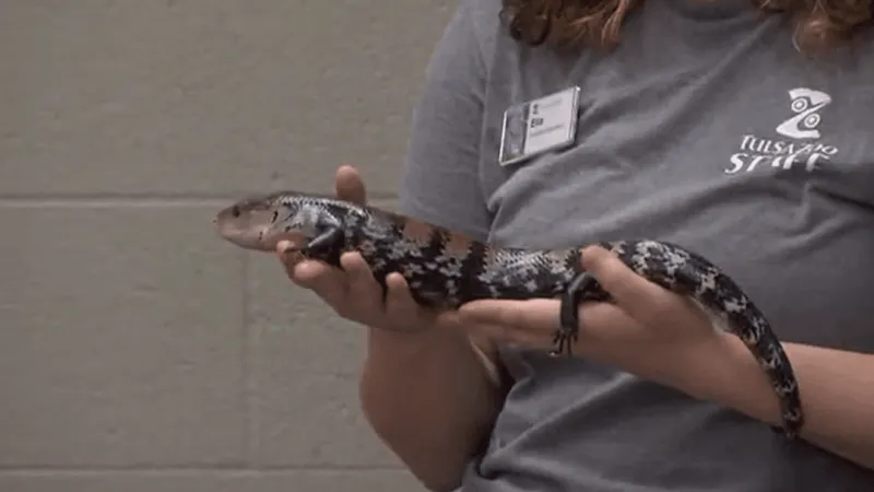 TPS Extended School Year Services partners with Tulsa Zoo