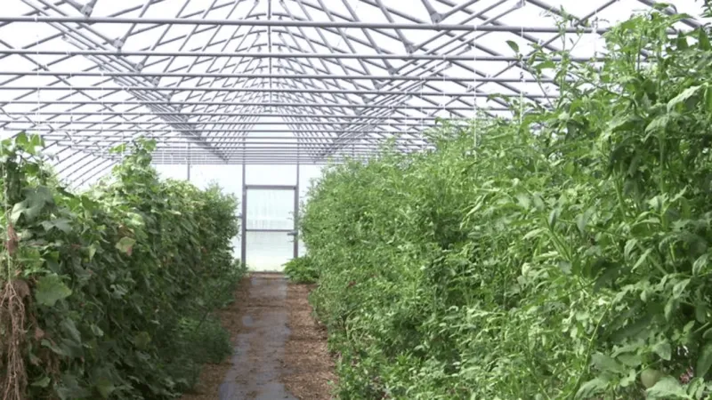 Restoration Farm helps Eden Village citizens rebuild confidence while supporting community
