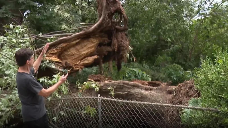 Norman extends storm debris pickup through August after July 4 windstorm