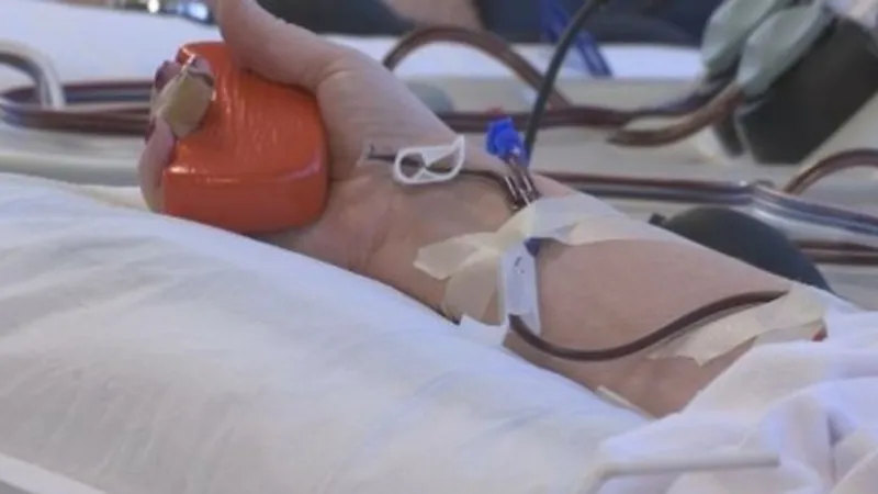 Our Blood Institute seeks urgent O-negative blood donors as summer strains supply