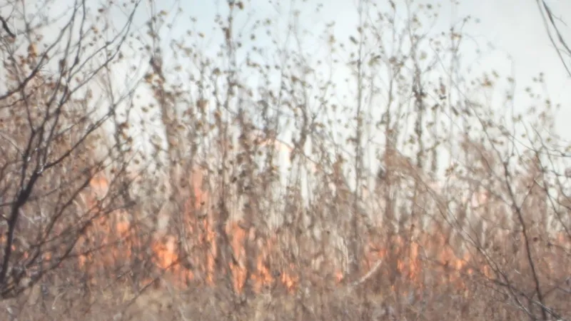 Love County Sheriff's Office investigating after charred body found in a field