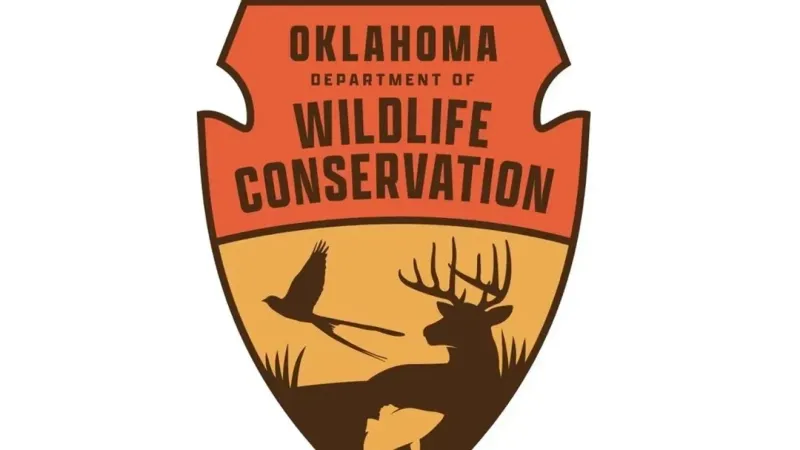 Deadline nears for Oklahoma Waterfowl Stamp Design Competition entries