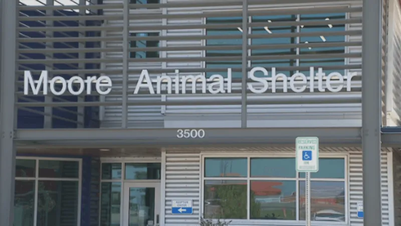 Moore to hire outside investigators to review Animal Welfare Department
