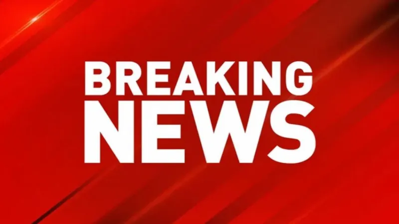 Domestic call escalates as fleeing suspect crashes into building, shots fired