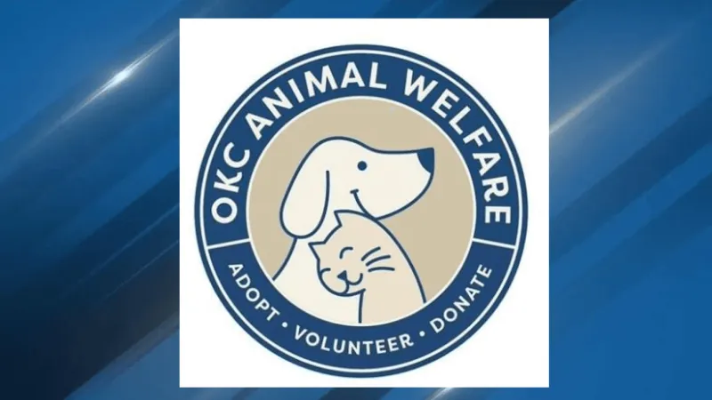 OKC Animal Welfare stops regular cat intake amid feline panleukopenia outbreak