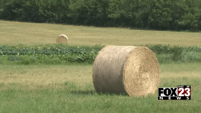 Oklahoma Primary Aluminum responds to Inola rancher's Kentucky testing