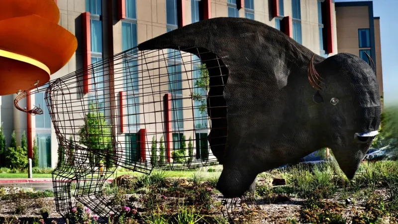 Buffalo sculpture installed outside Osage Casino Tulsa