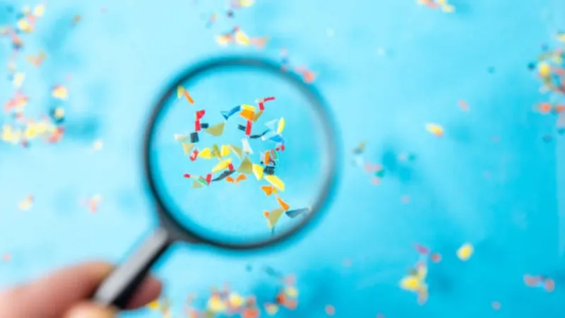 OMRF scientists to study whether microplastics harm ovaries, contribute to infertility