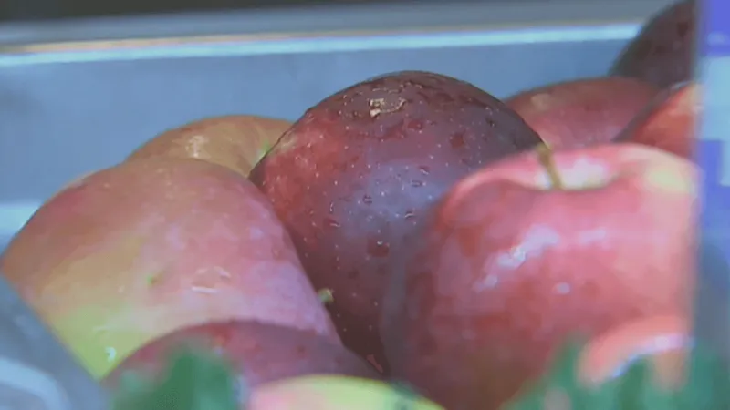 State discontinuing program that provides third meal during the school day for students