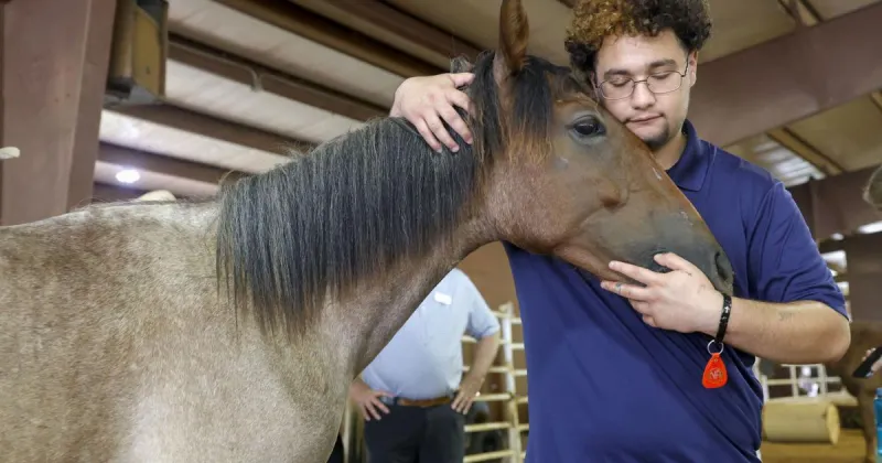 Tulsa Boys' Home therapy program adds wild mustang yearlings