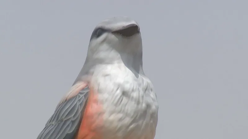 New 12-foot scissortail flycatcher sculptures debut at Scissortail Park
