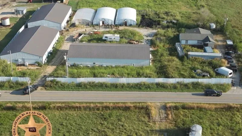 OBN agents seize over 7,000 marijuana plants during raid