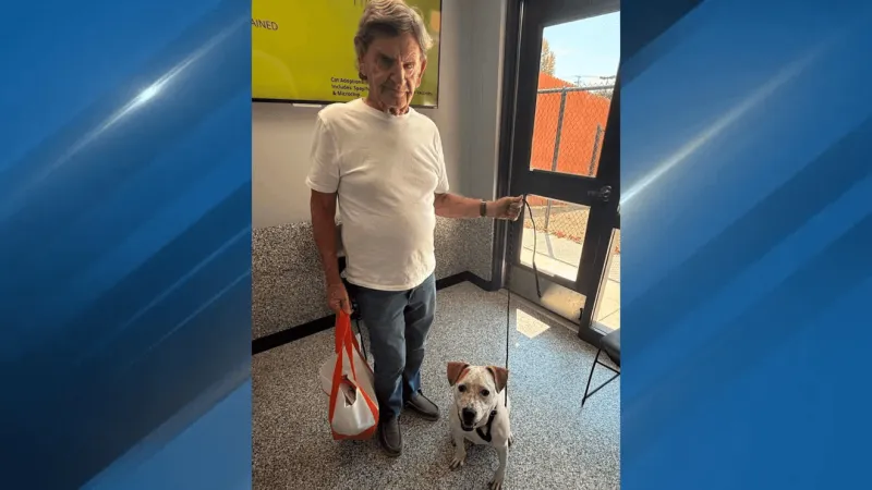 BFAS says more than 600 pets adopted across Oklahoma in "Adopt Your MVP" event