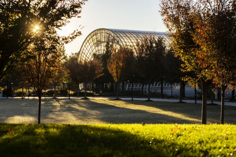 Free In OKC: Fall Edition