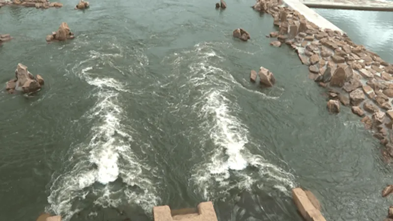 Good Samaritan saves woman from drowning at wave park