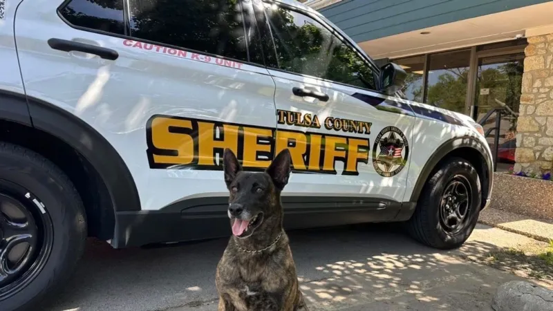 Tulsa County K9 returns to work and quickly proves his value