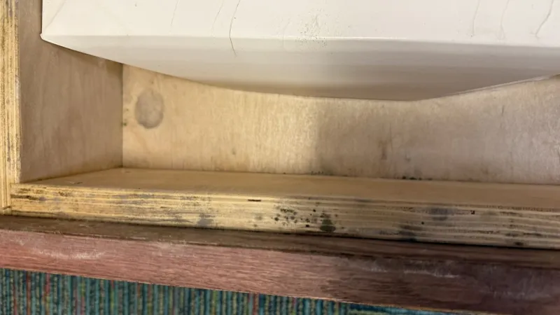 John Ross parent questions EPS communication after water damage, mold testing