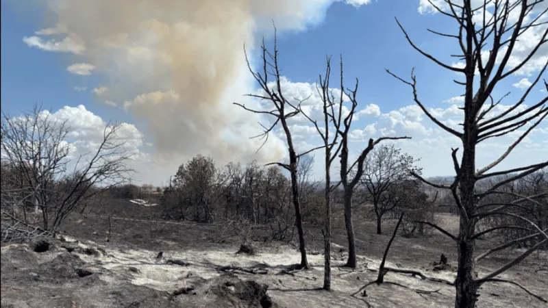 Report: Gracemont Fire burns 2,665 acres, 30% contained