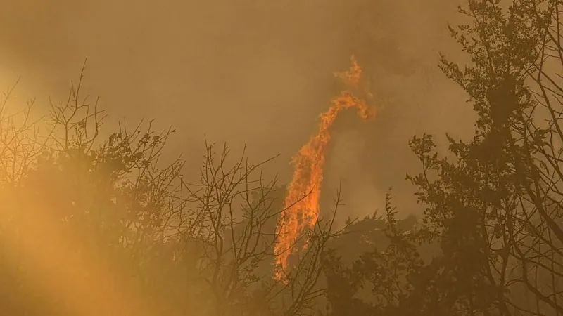 Fire crews gain ground on Gracemont Fire, now 90% contained