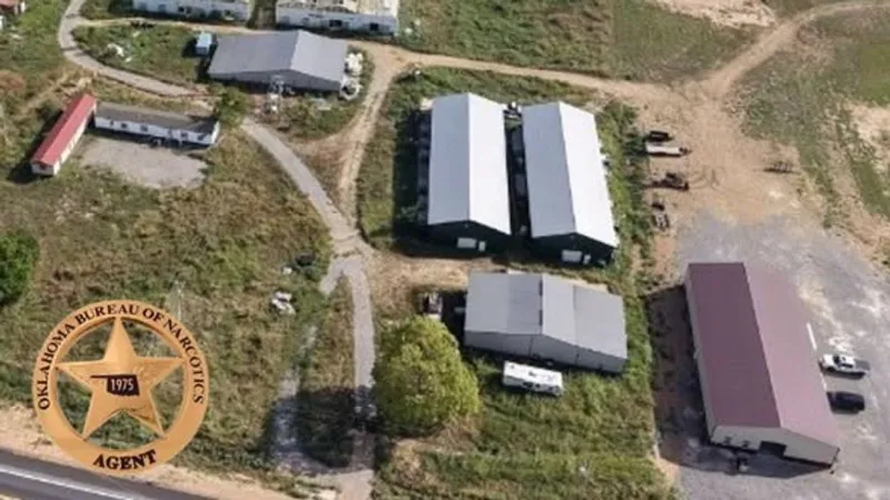 Illegal marijuana grow in Hulbert busted; 3,895 plants, processed pot and rifle seized