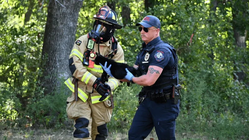 Bixby Fire Department saves 5 cats from house fire
