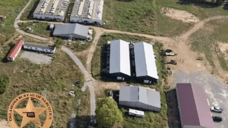 OBN seizes more than 3,000 plants, 69 pounds of processed marijuana in Hulbert