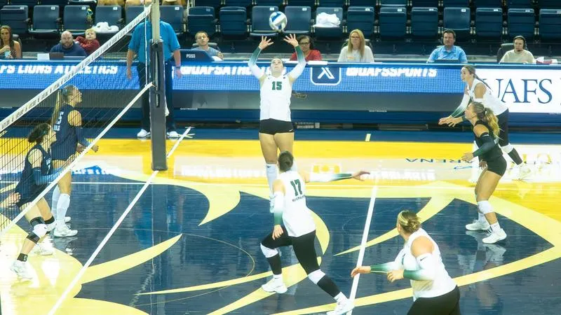 RiverHawks Drop Road Match to Lions