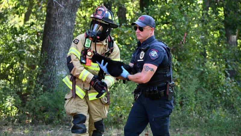 Bixby firefighters rescue five cats from house fire