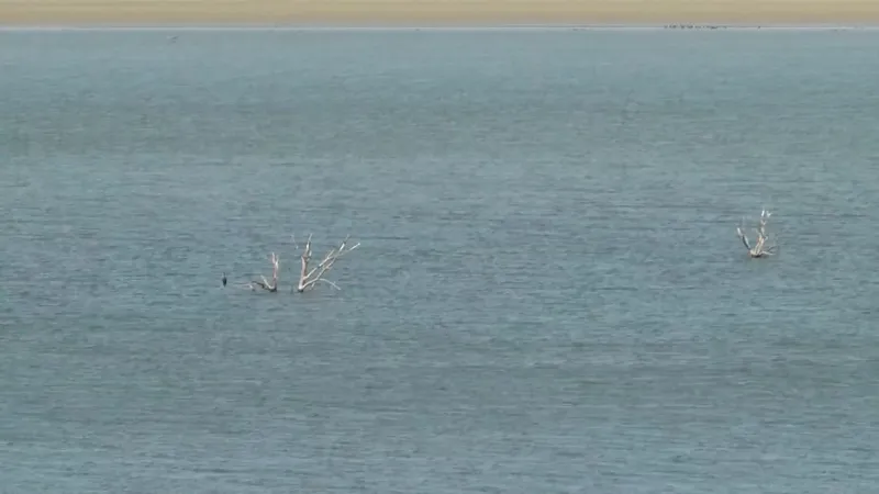 Oklahoma man dies after falling from paraglider into reservoir