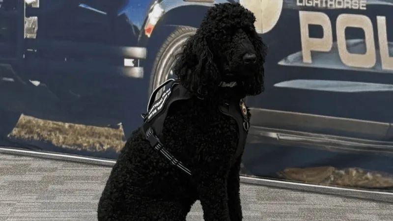 Muscogee Nation Lighthorse Police Department introduces Crisis Response Canine